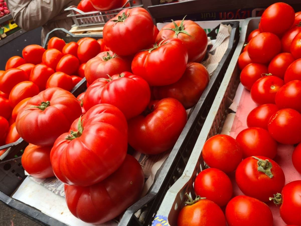  Kako čuvati paradajz 