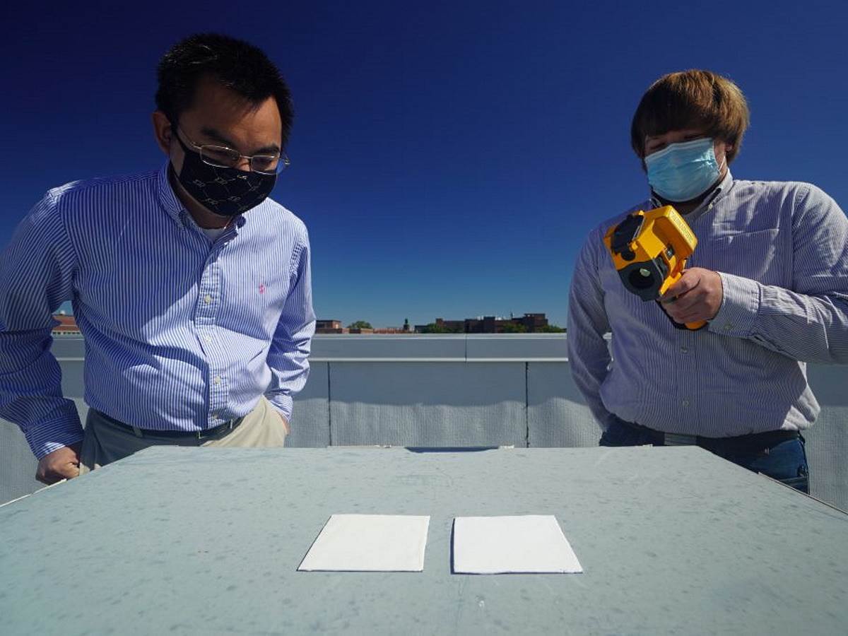  najbolja bijela boja na svijetu 