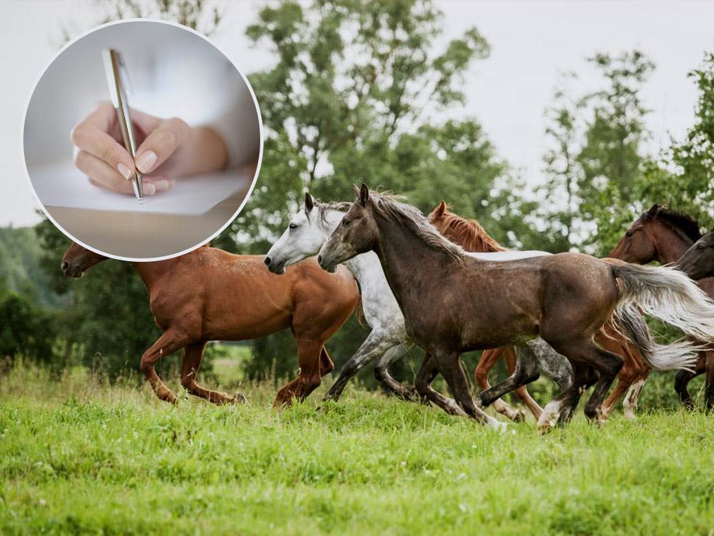  test licnosti za podsvijest 