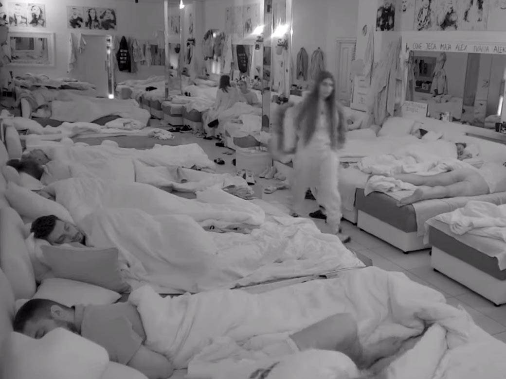  dalila i dejan zadruga 