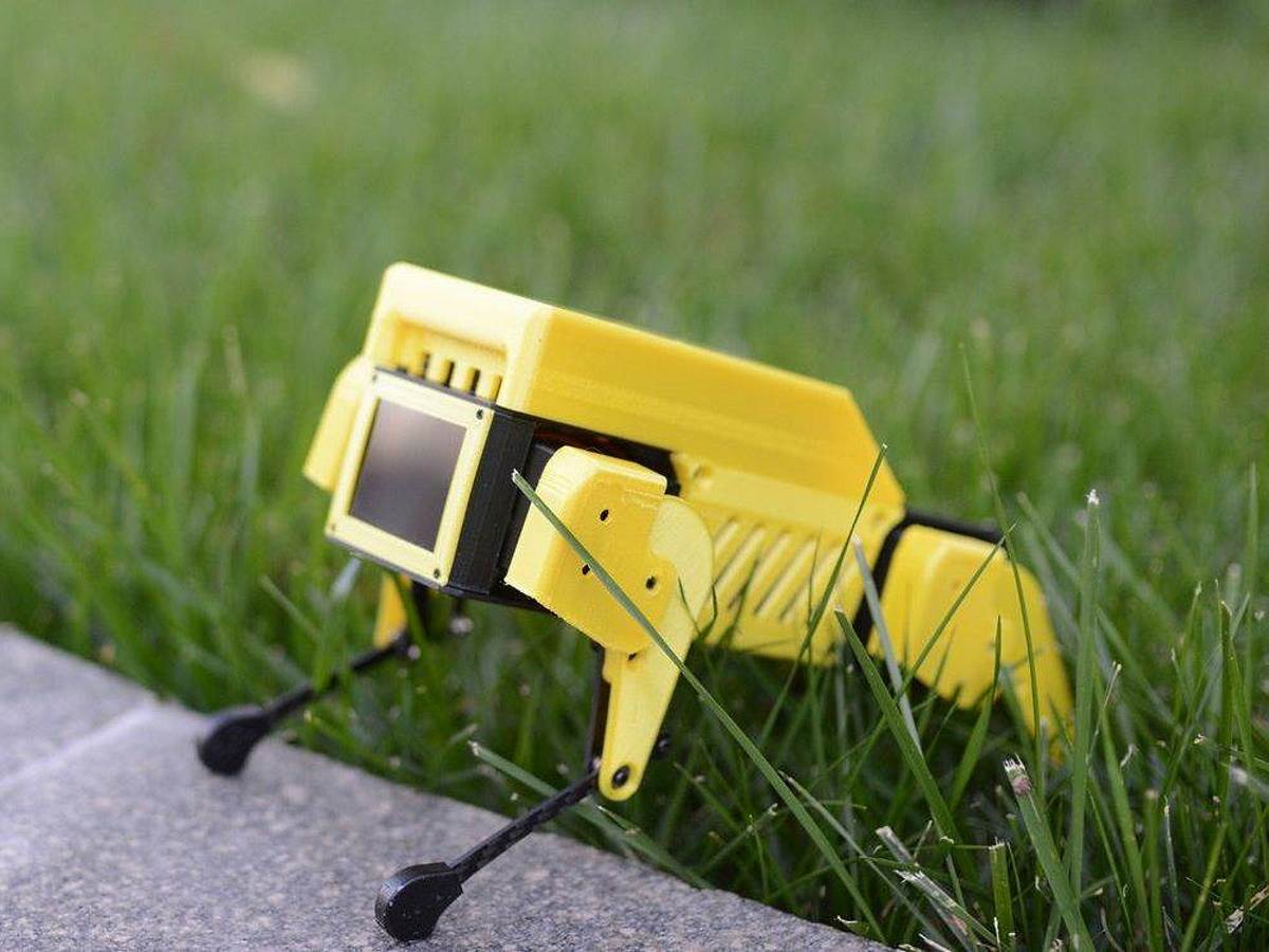  novi pas robot mini pupper 