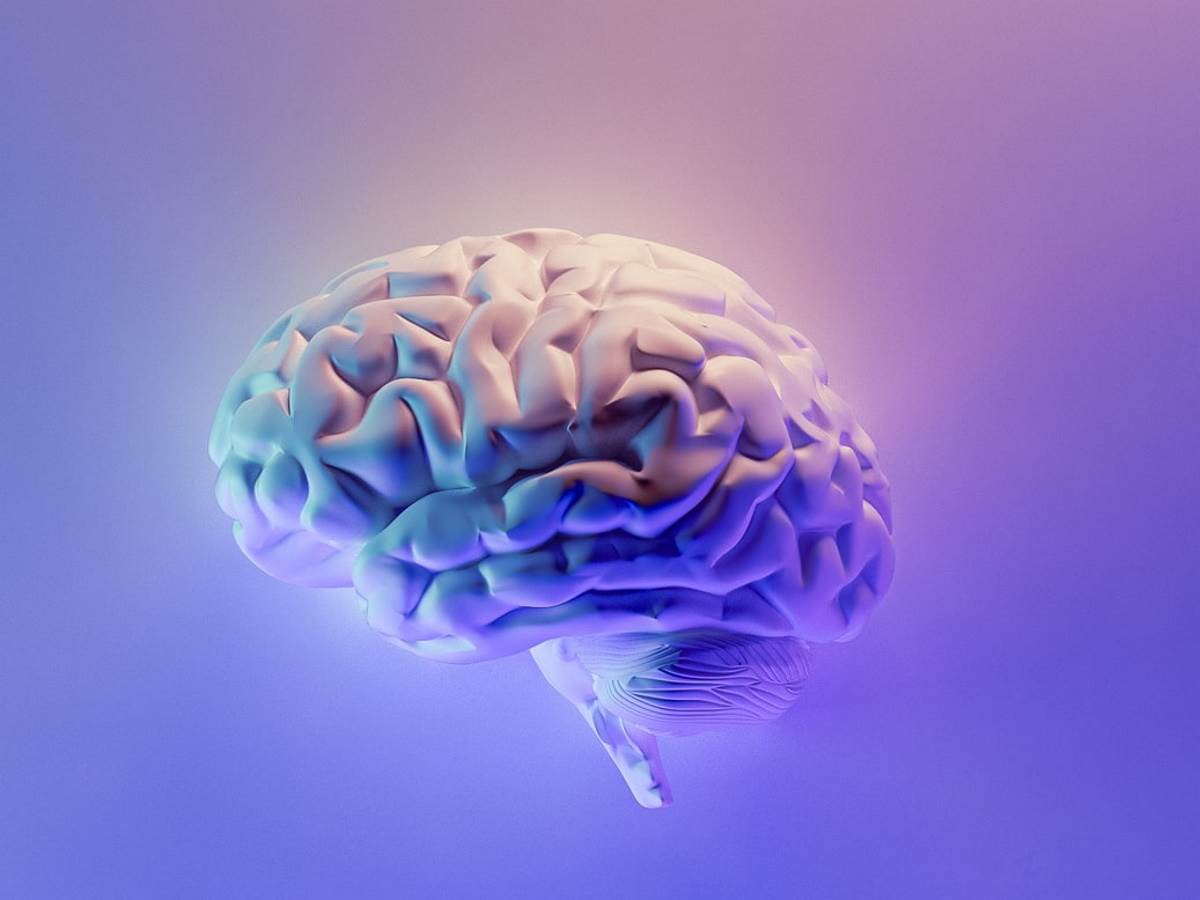 ameba mu pojela mozak ameba mu pojela mozak