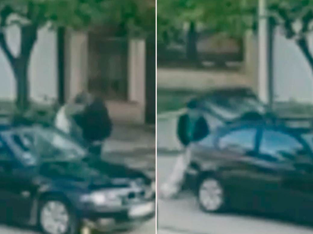  novi sad mucenje zivotinja 