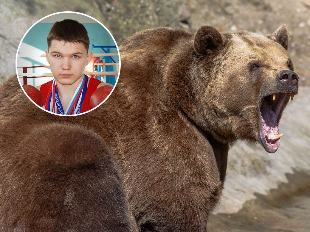  bokser u rusiji ubio medvjeda 