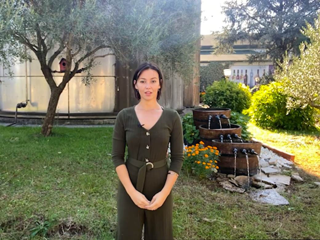  stari podrum plantaze 