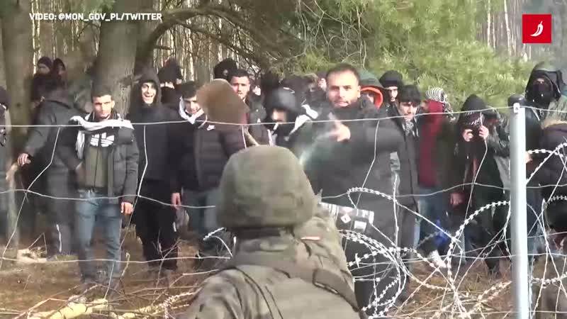  migranti na granici poljske i bjelorusije 