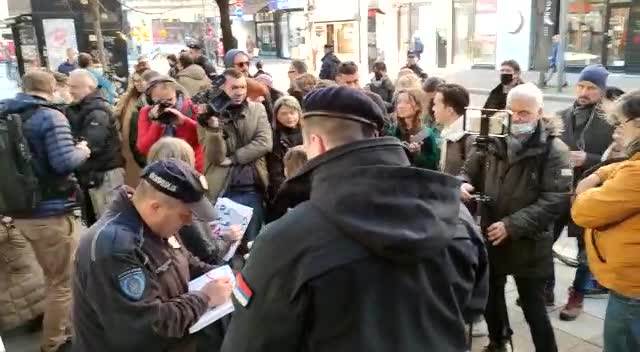  grafit ratka mladica 