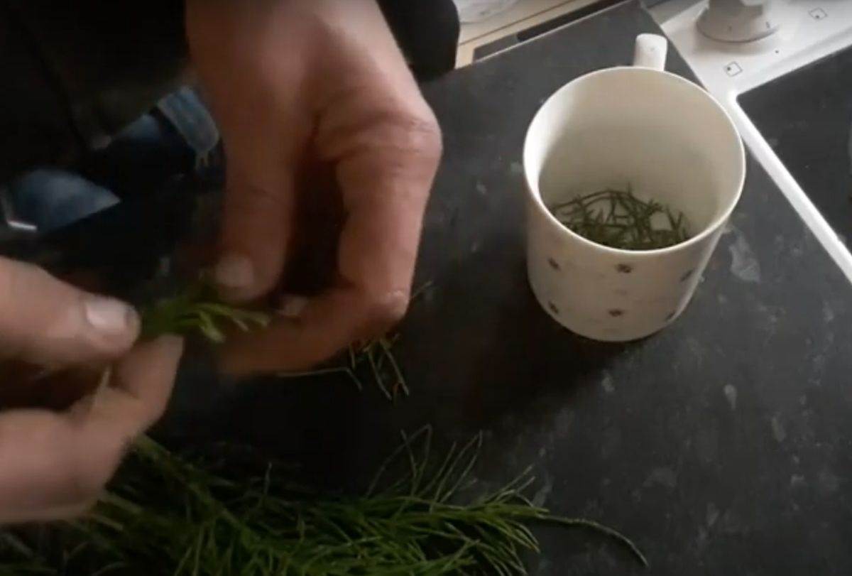  greska zbog koje je caj manje zdrav 