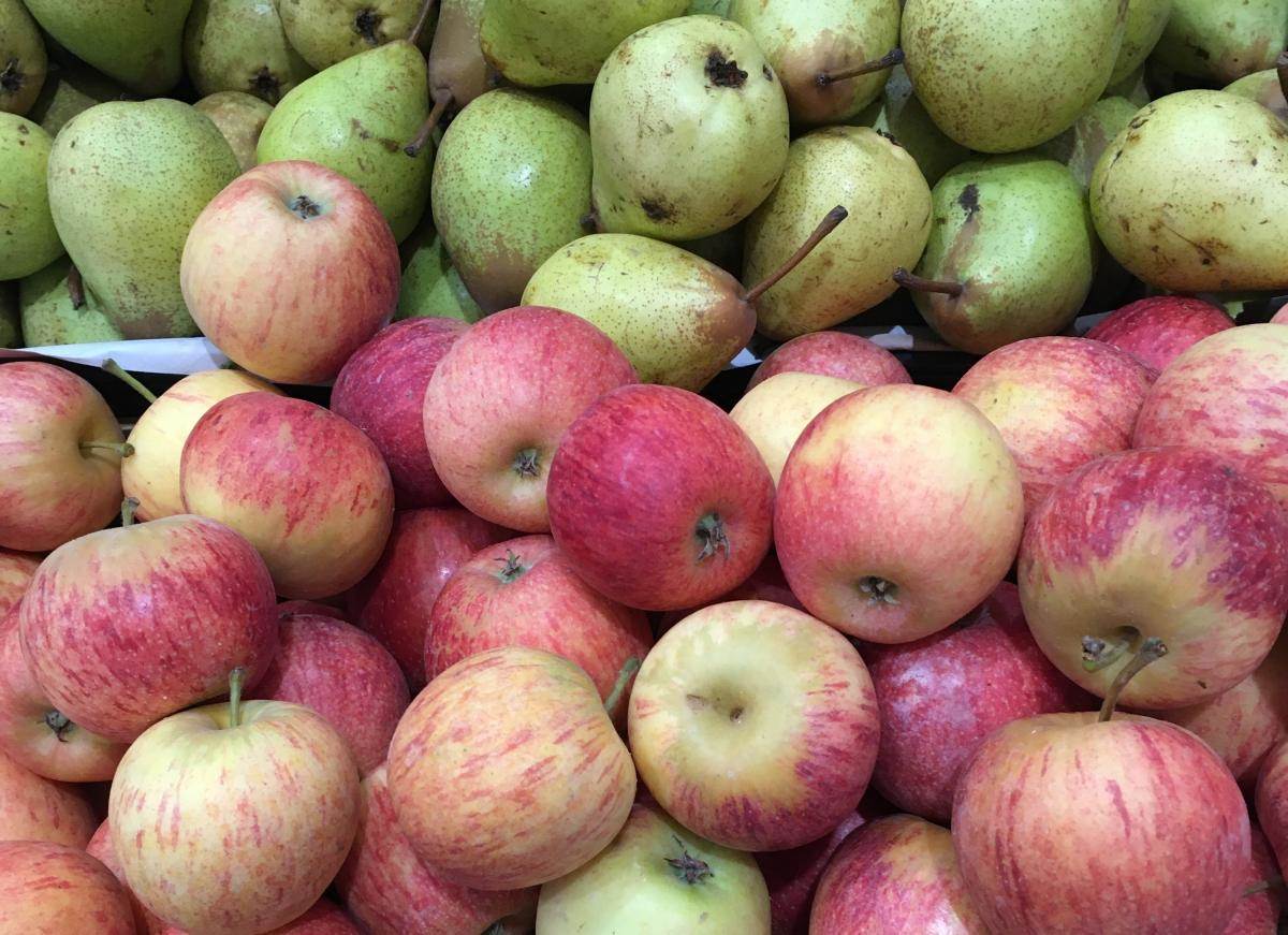  hrana bogata vlaknima 