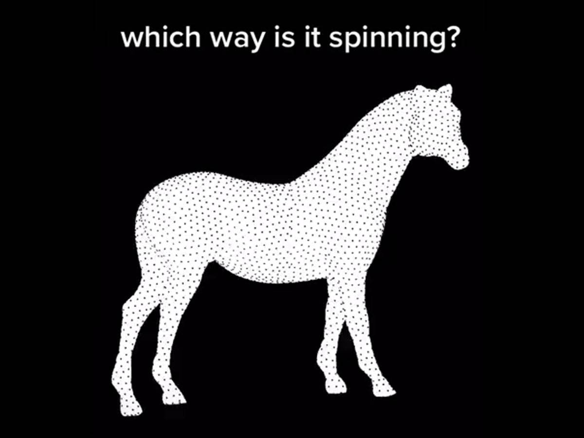  opticka iluzija konj koji se okrece 