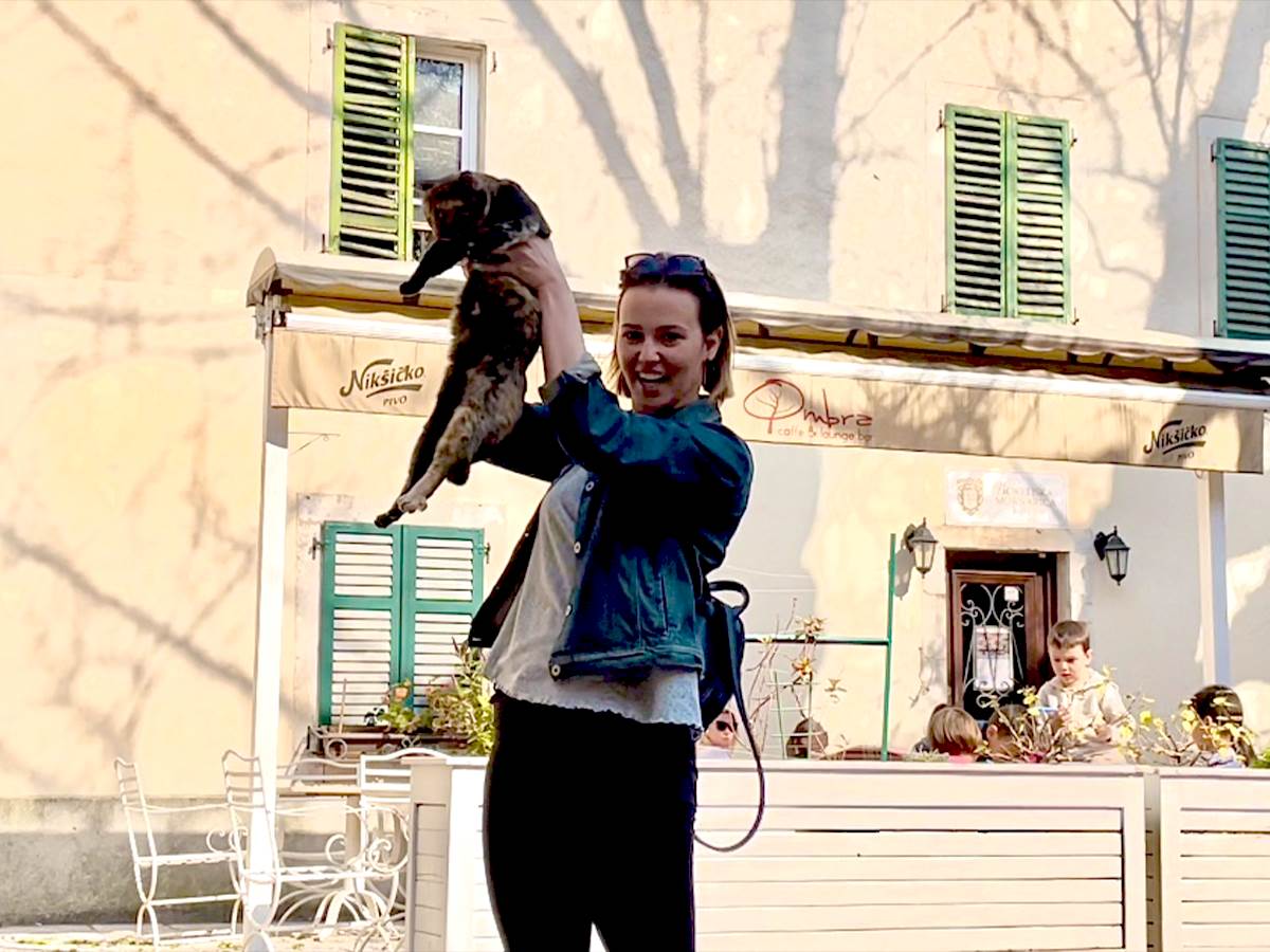 kotor grad macaka   kotor grad macaka