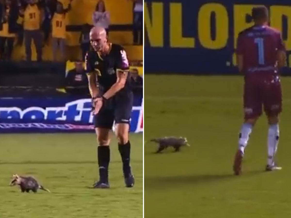  oposum prekinuo duel između Krikume i Londrine 