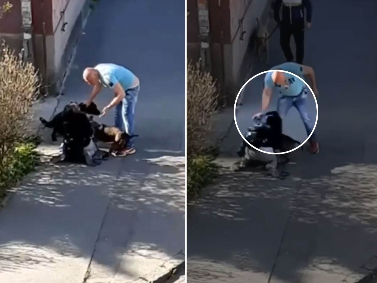  Nepoznati muškarac udarao  ženu i šutirao njenog psa 