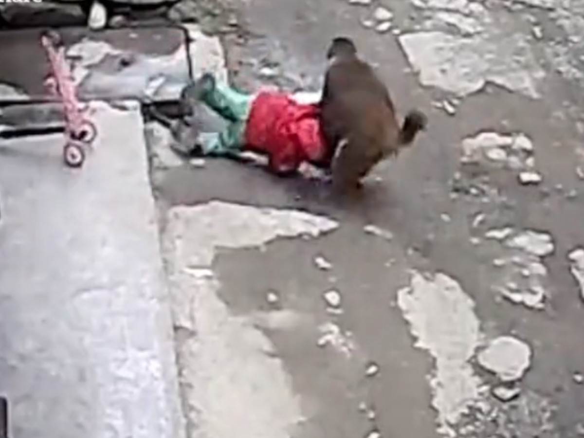  bijesni majmun zgrabio djevojcicu i odvukao je 
