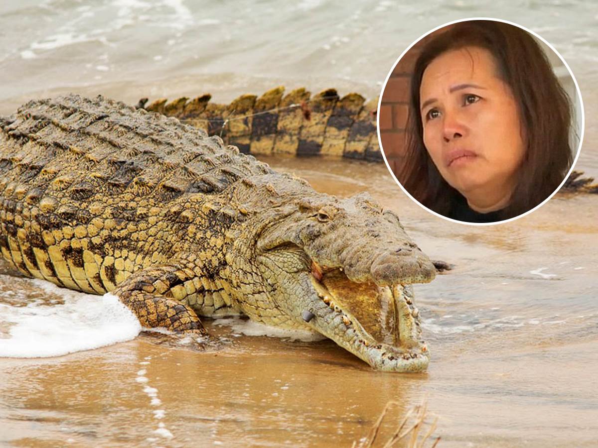  krokodil pojao covjeka u australiji 