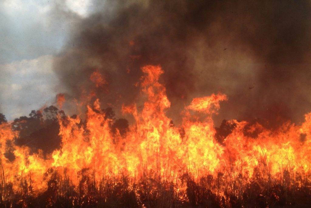  Vatrogasci su tokom cijele noći gasili požar na padinama Vrmca. 
