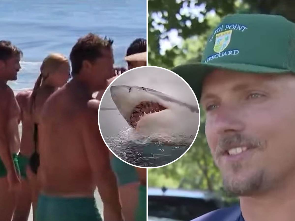 spasilac o borbi sa ajkulom spasilac o borbi sa ajkulom