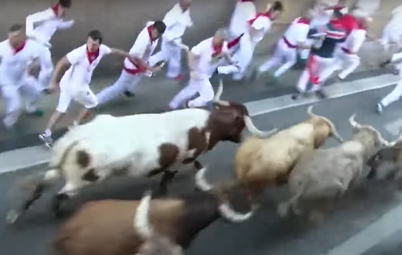  Sedmoro povređenih u trci s bikovima u Pamploni! 
