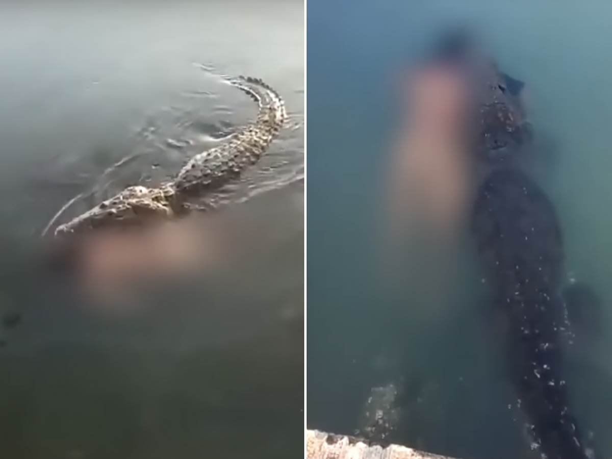  Muškarac je ušao da se kupa u laguni u Meksiku, a onda ga je napao krokodil. 