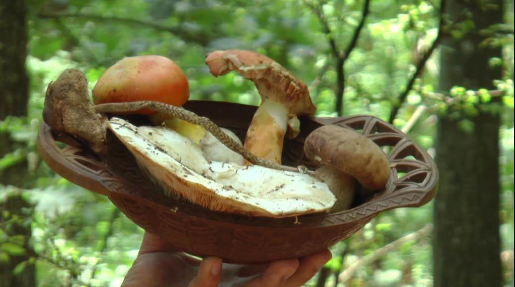  ŠTO SE SIMPTOMI TROVANJA KASNIJE POJAVE, TO JE OPASNIJE 