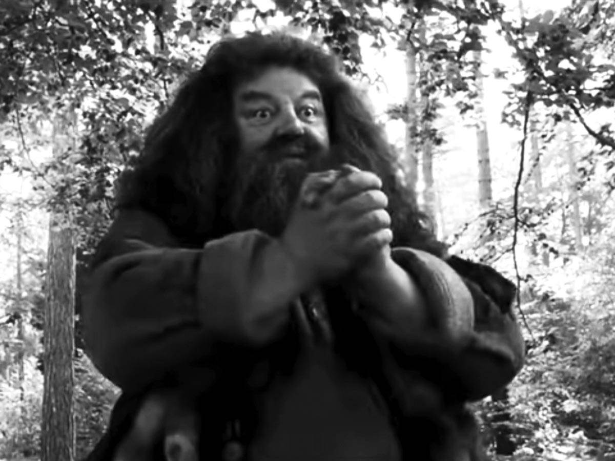  Zvezda Harija Potera, Robi Koltrejn koji je igrao dobroćudnog diva Hagrida, bolovao je od osteoartri 