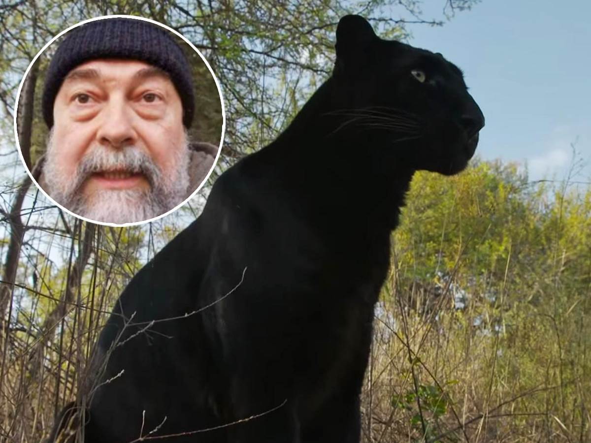  Oglasili su se stručnjaci iz Zoo vrta Palić na navode da se pojavio crni panter u Apatinu. 