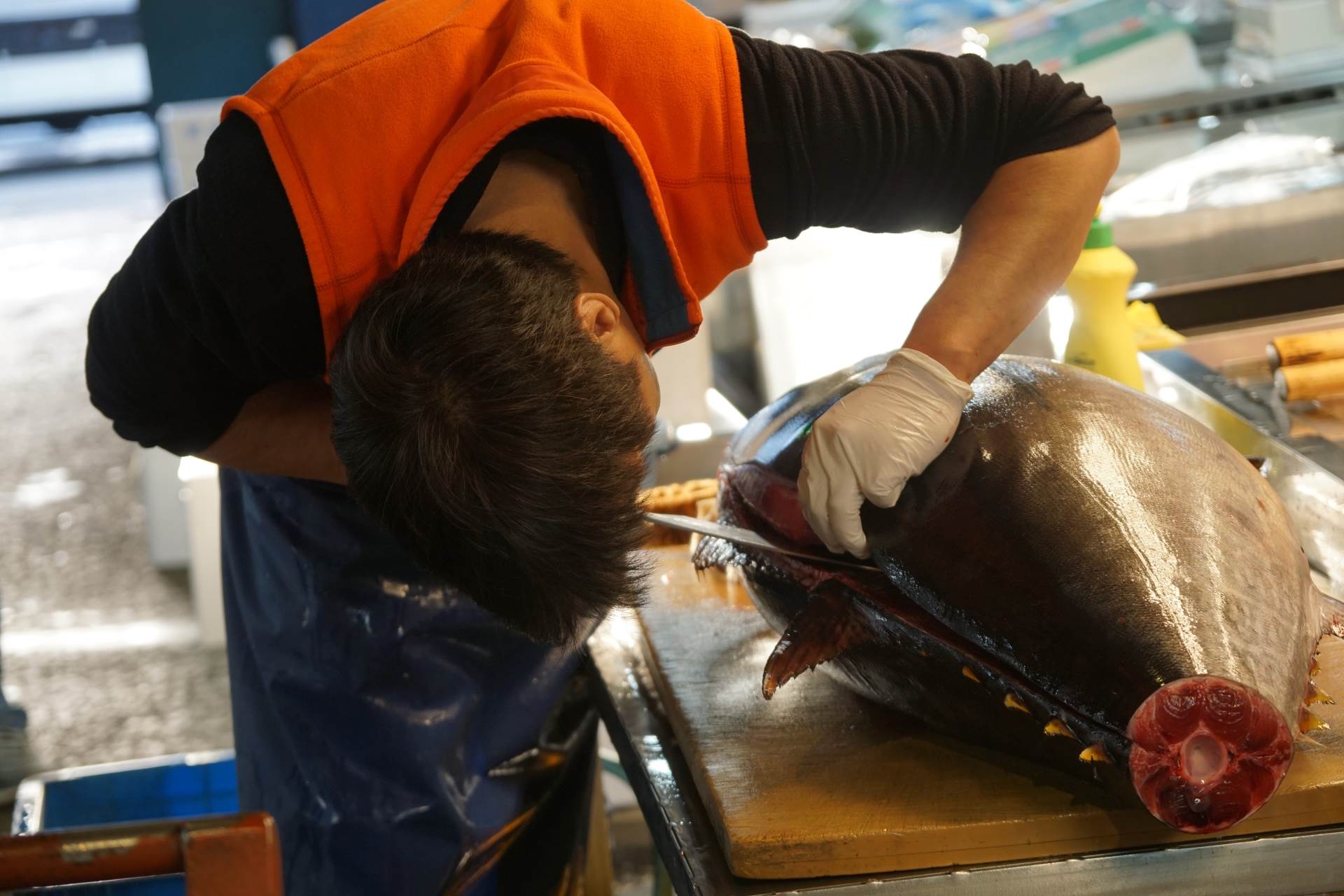  tuna na pijaci u tokiju prodata za 257 hiljada eura  