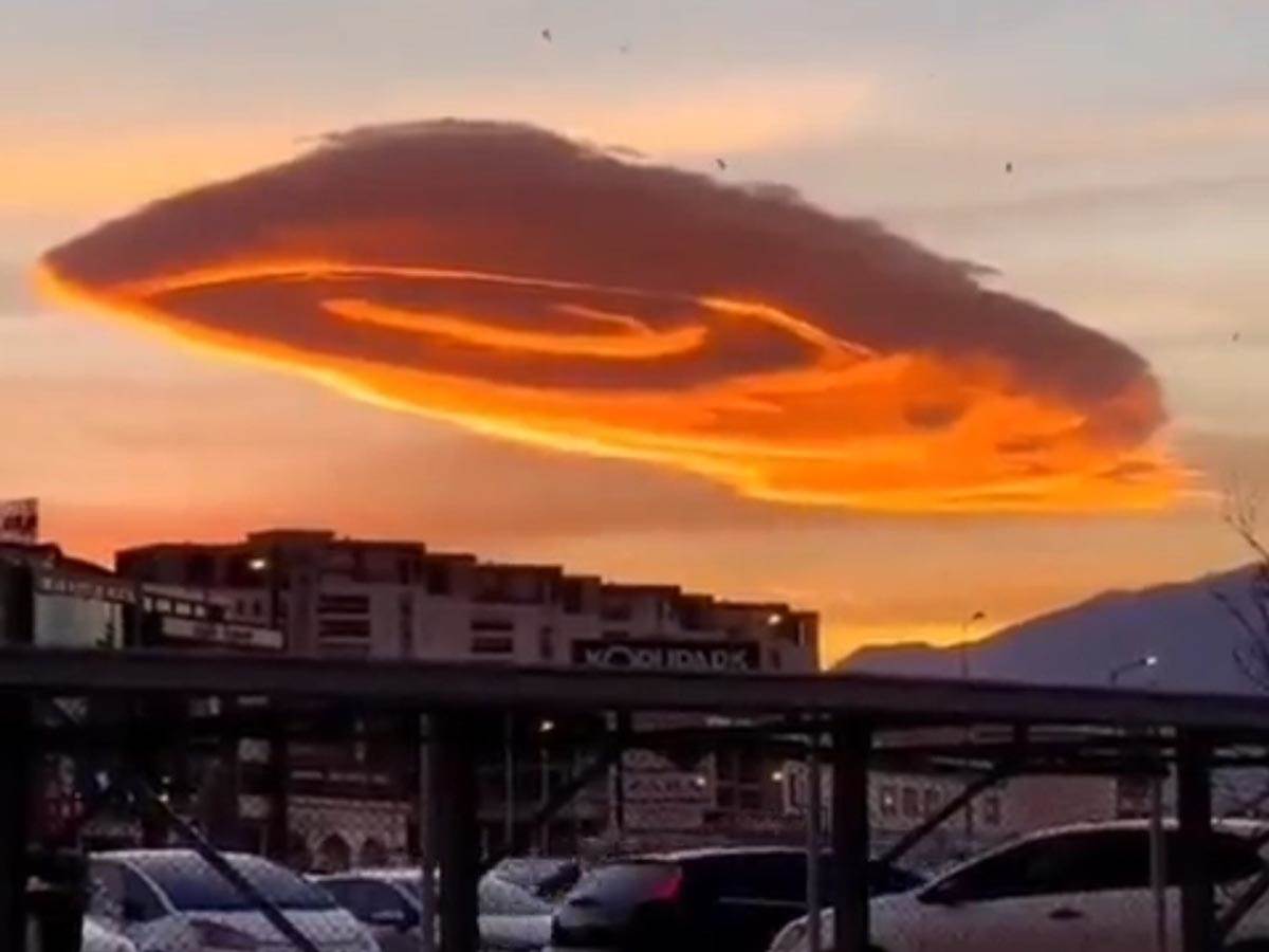 Screenshot_1.jpg Screenshot_1.jpg