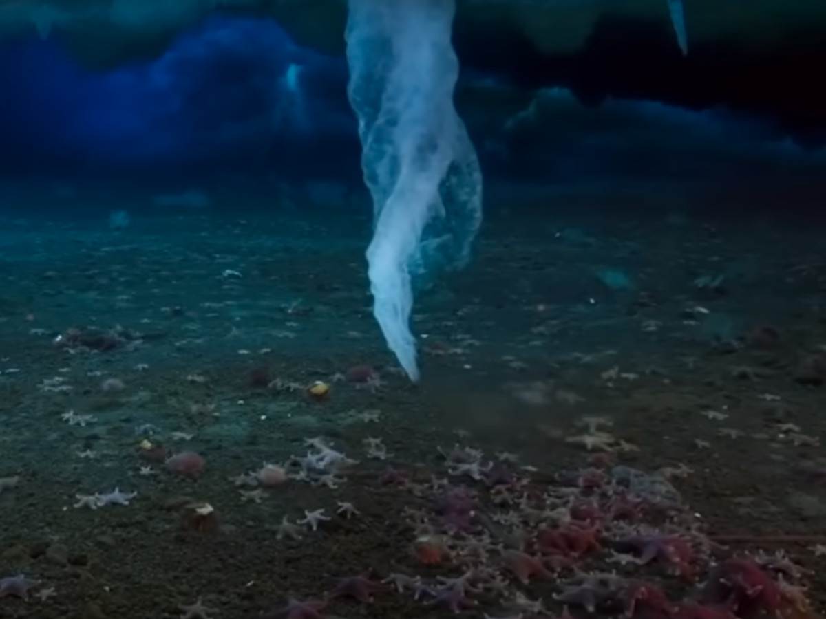  Led se zamrzne i ubija sve oko sebe kada dodirne morsko dno 