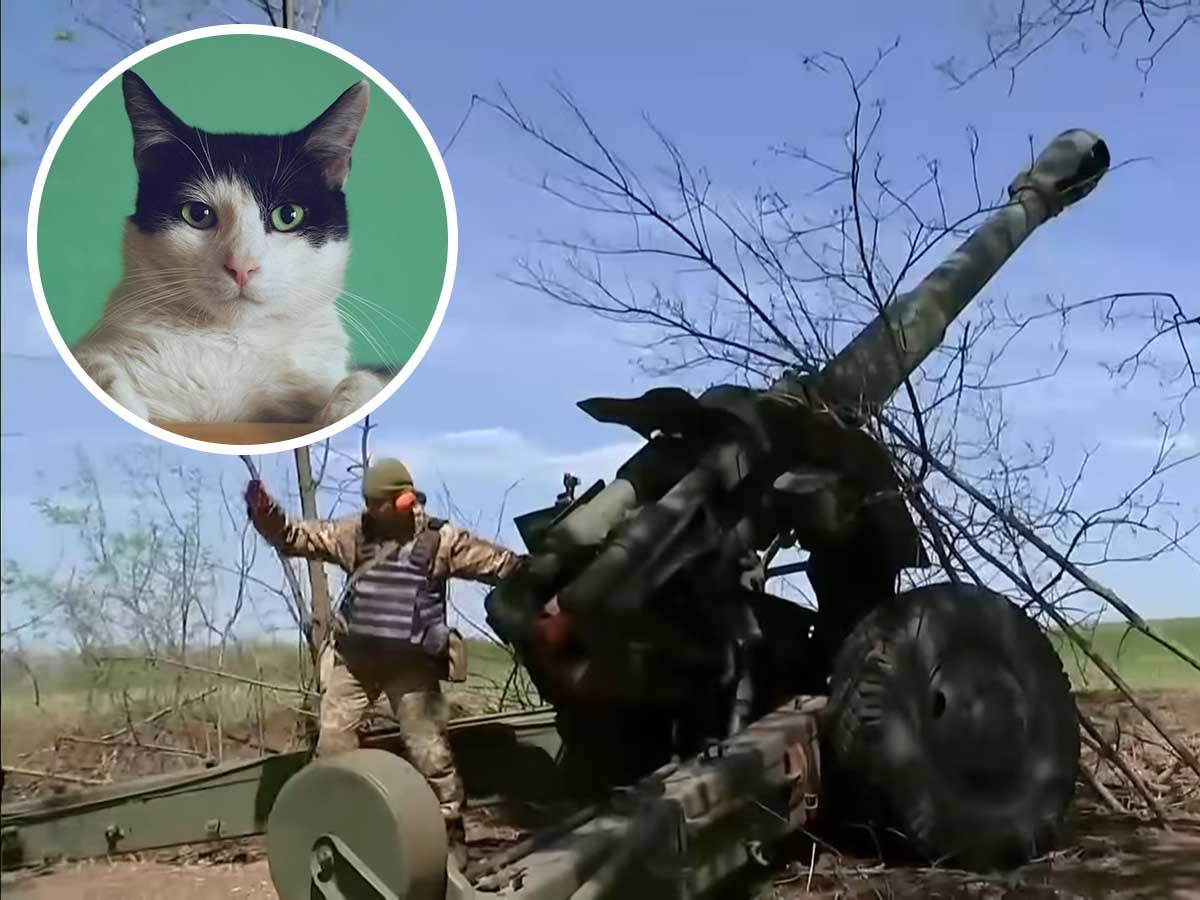  Ne može se proizvesti dovoljno municije za Ukrajinu zbog klipova o mačkama  
