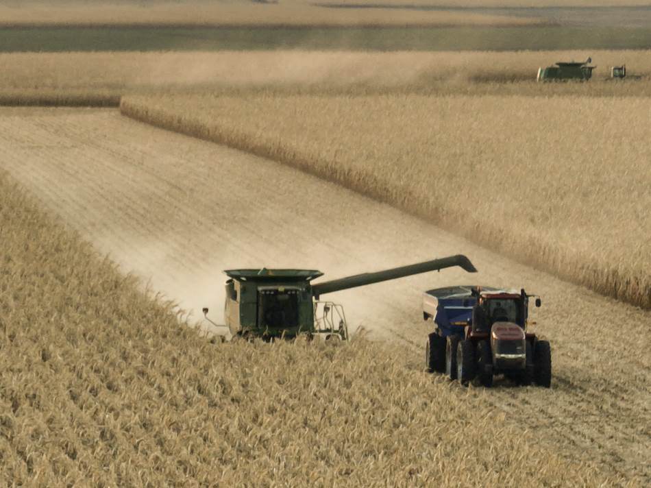  Postignut dogovor o prolazu ukrajinskih žitarica u EU 