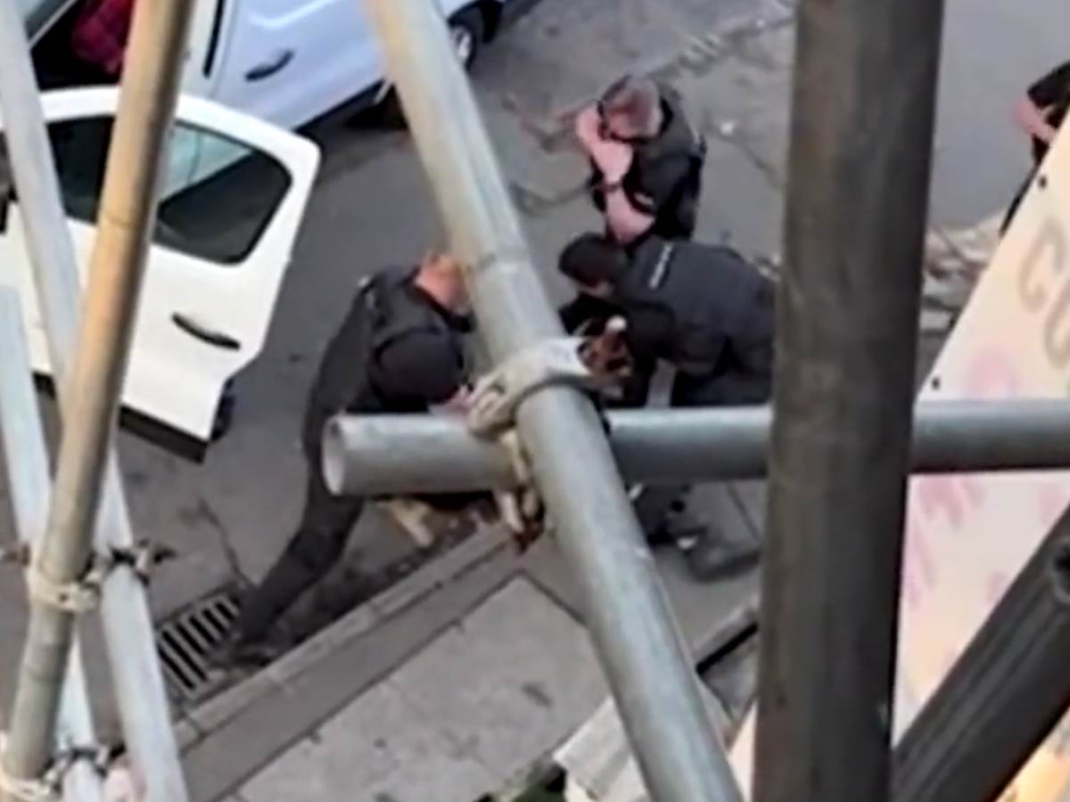 Hapšenje osumnjičenog za ubistvo u Notigemu   Hapšenje osumnjičenog za ubistvo u Notigemu