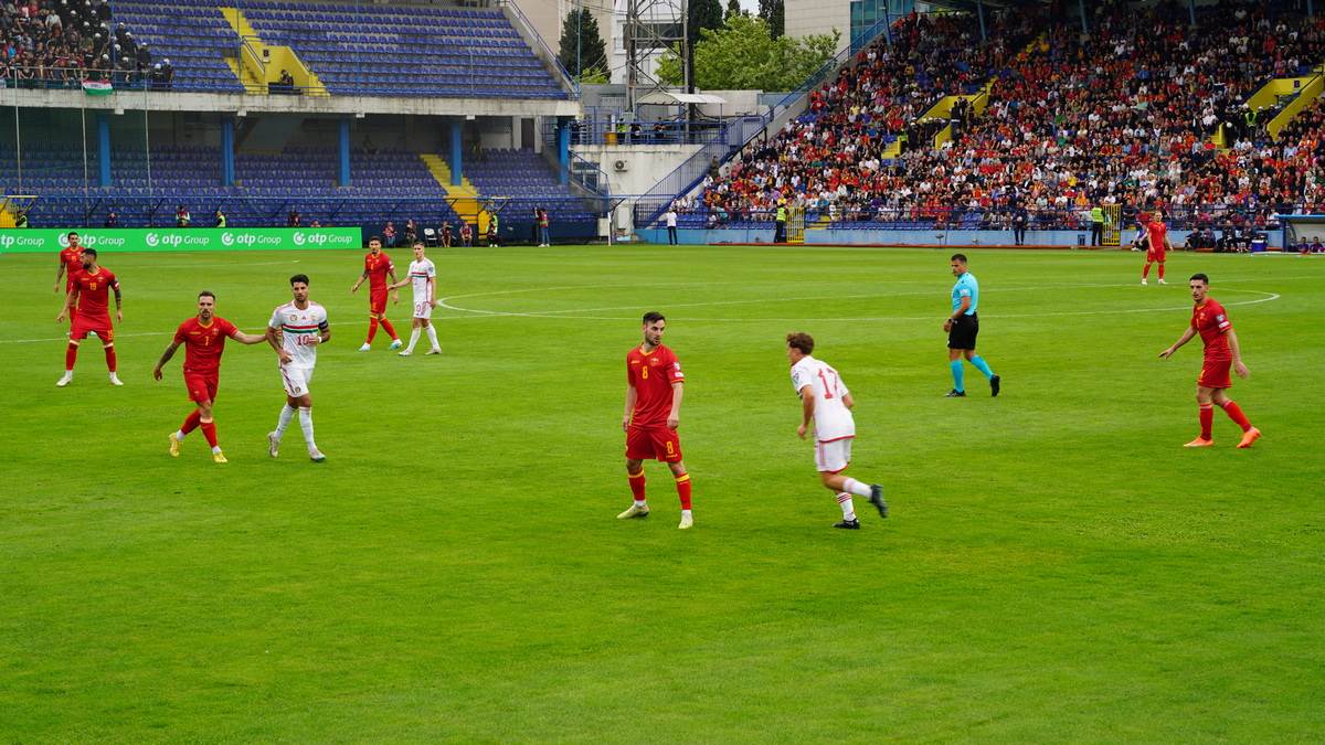  marko janković 1.JPG 
