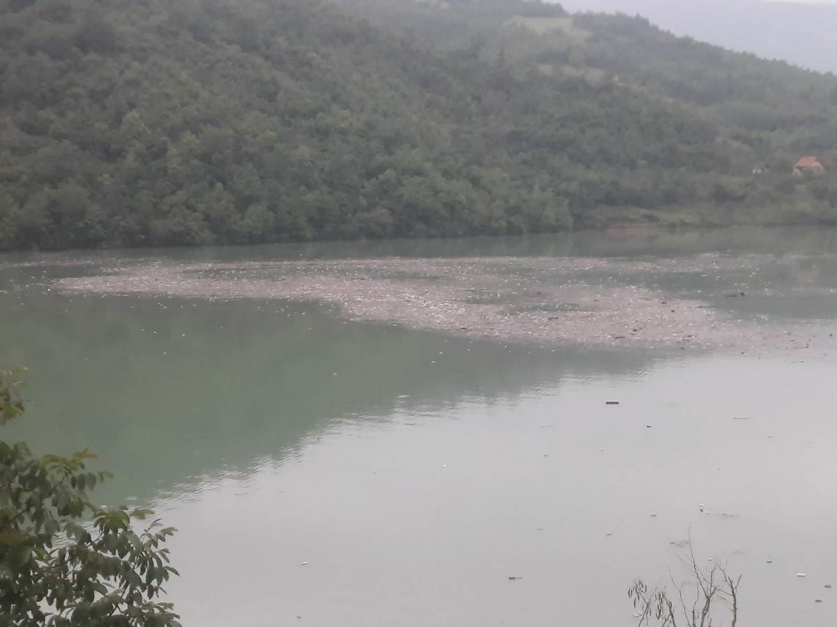  Hiljade kubika smela rijekom Drinom stiže do Višegrada 