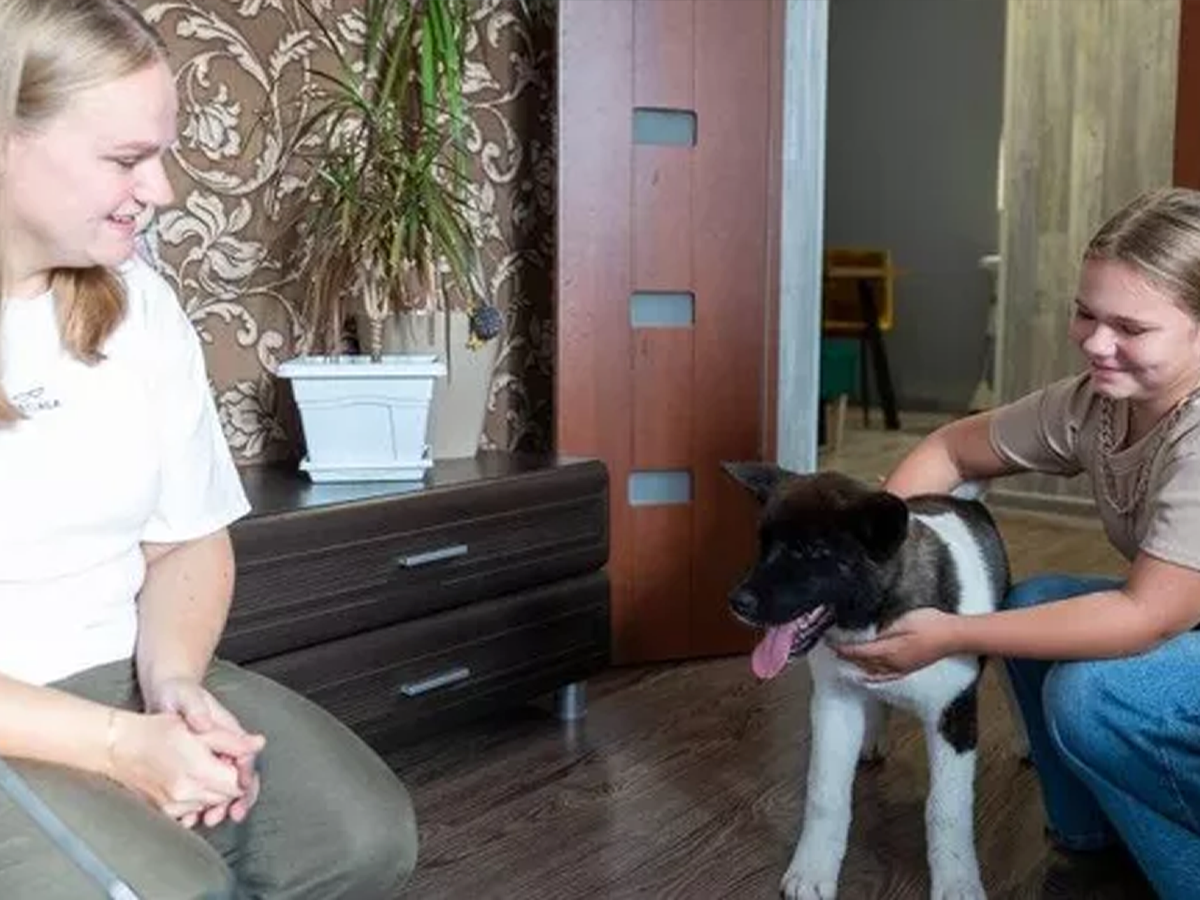  Vladimir Aleksandra Prijovićutin poklonio djevojčici psa 