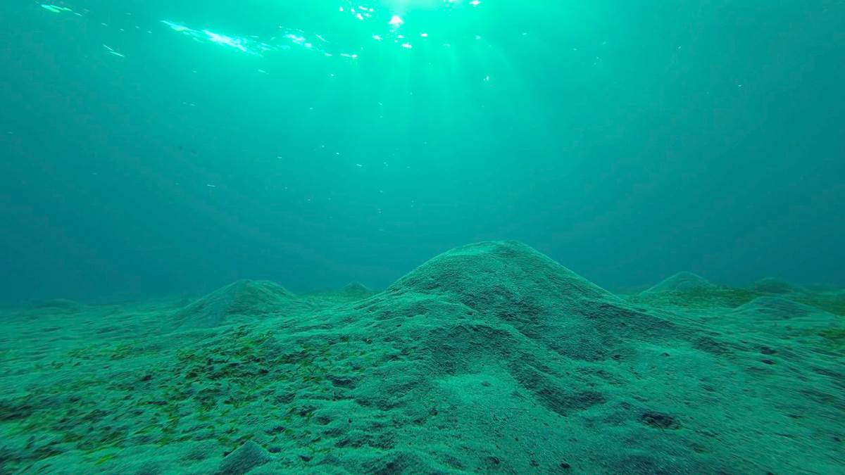  naučnici otkrili superstrukturu duboko ispod Tihog okeana 