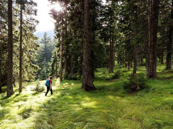  Zabrana kretanja šumama u Sjevernoj Makedoniji 