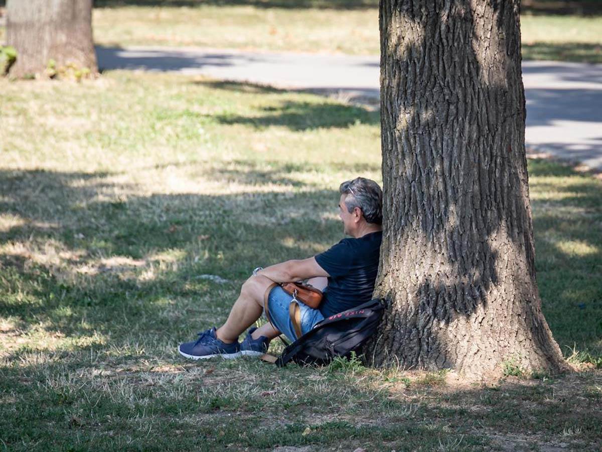  U Sjenici je proglašena vanredna situacija zbog vrućine 