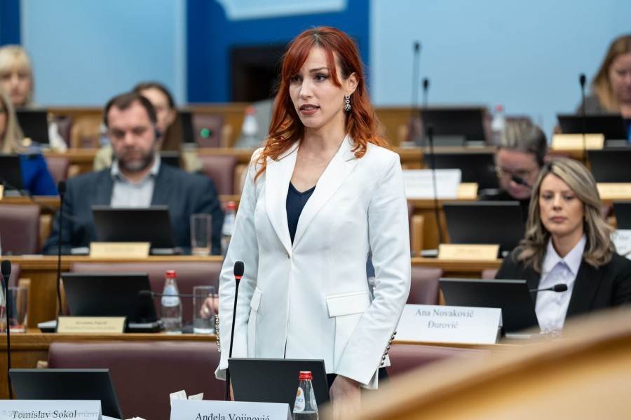 Vojinović je izabran za potpredsednika Info skupštine Vojinović je izabran za potpredsednika Info skupštine