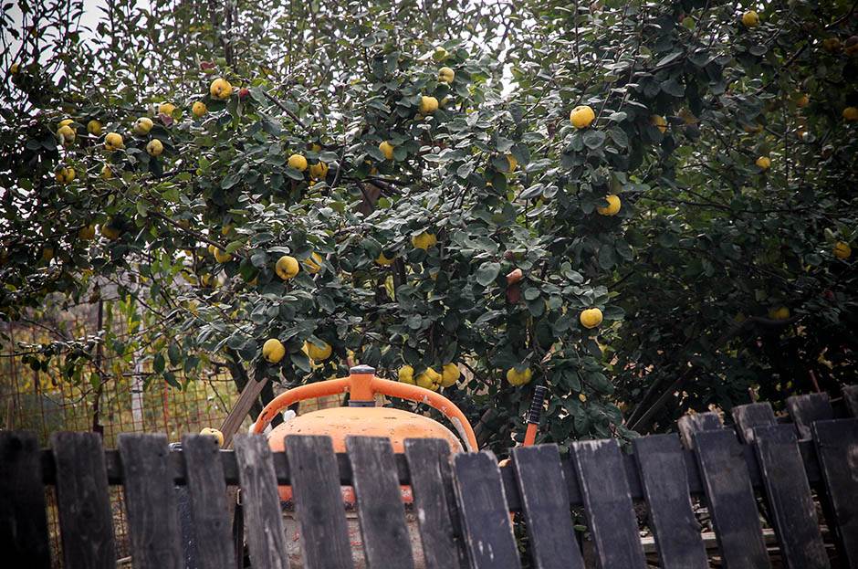  Uzgajanjem do bogatstva 