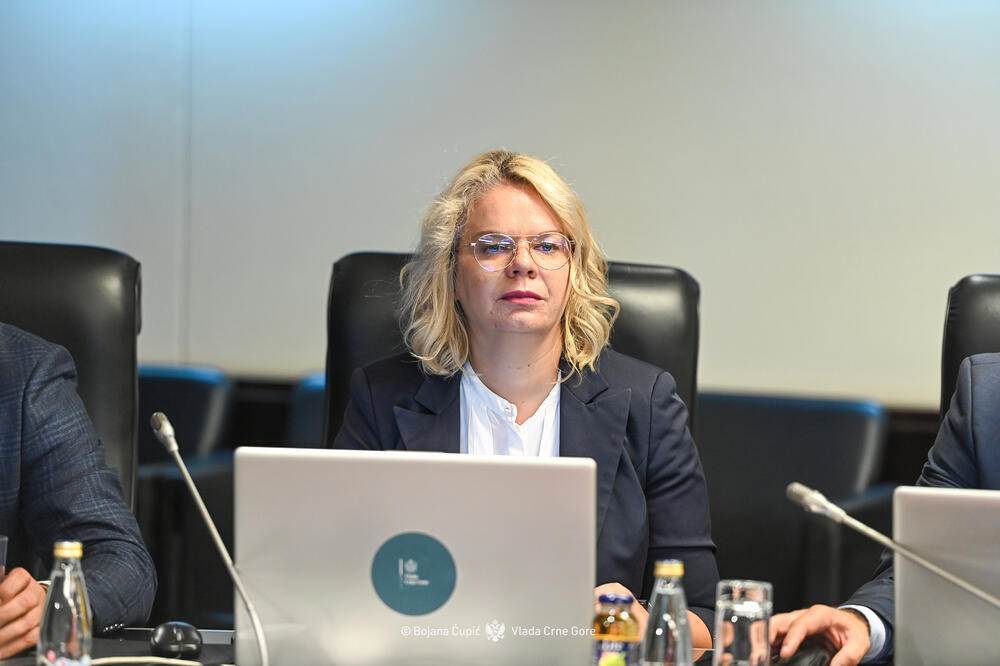 Vukićević: DNP je bliži odlasku iz Vlade nego ostanku u Info Vukićević: DNP je bliži odlasku iz Vlade nego ostanku u Info