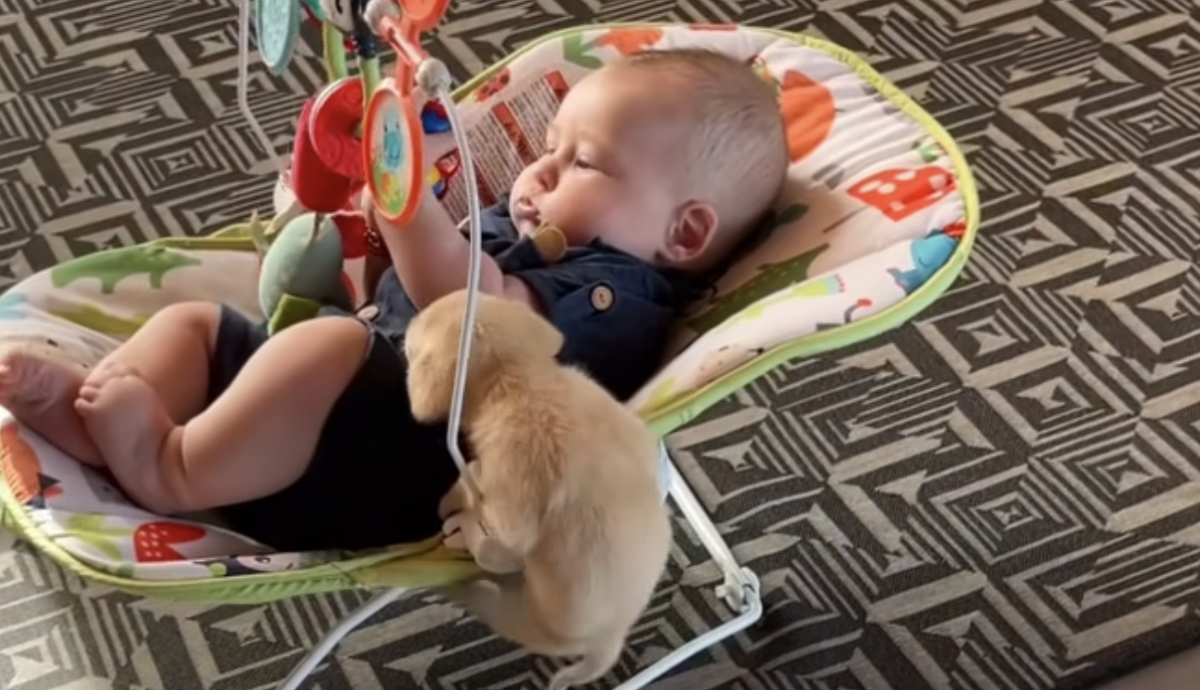  Viralni snimak bebe i šteneta 