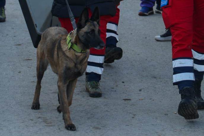 Ovo je pas GSS-a koji je pronašao malu Dunju: Svi detalji nestanka djevojčice, evo kako su roditelji 