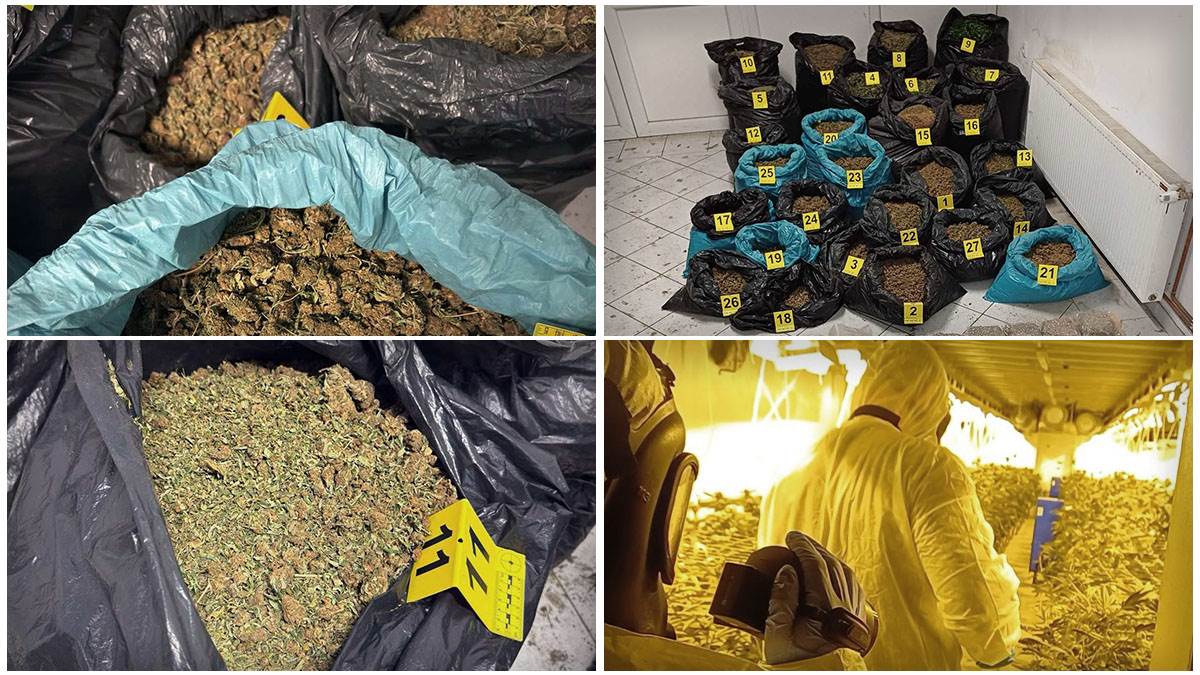  Policija pronašla ilegalnu laboratoriju kod Zrenjanina 