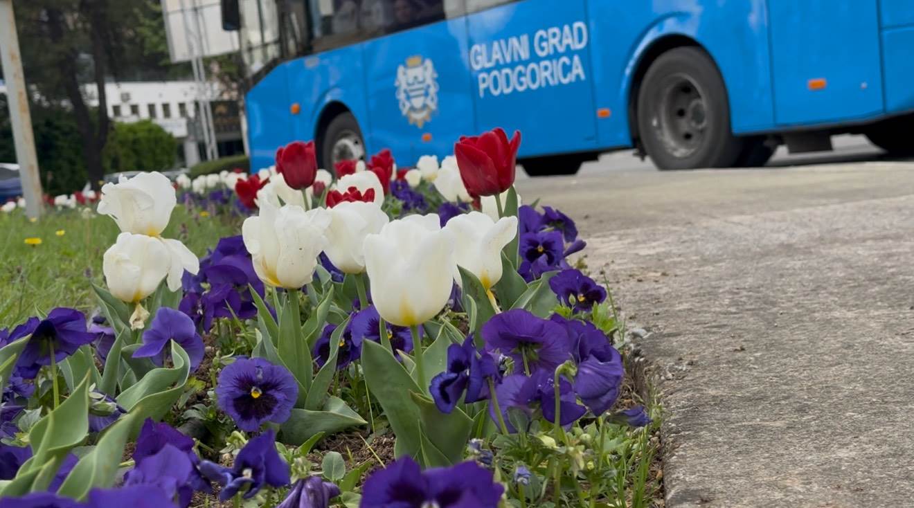  PODGORICA U CVATU - PROLJEĆE NA GRADSKIM ULICAMA I BULEVARIMA 