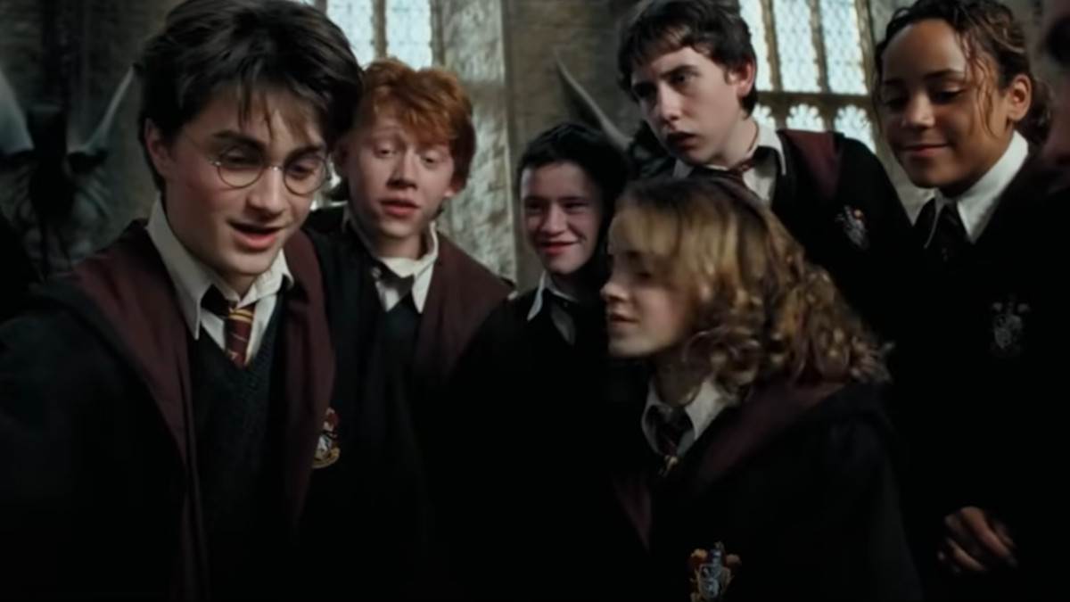  Umislio da je Hari Poter, pa završio u zatvoru na 3 godine: Iskoristio ovaj napitak da od kolege izv 