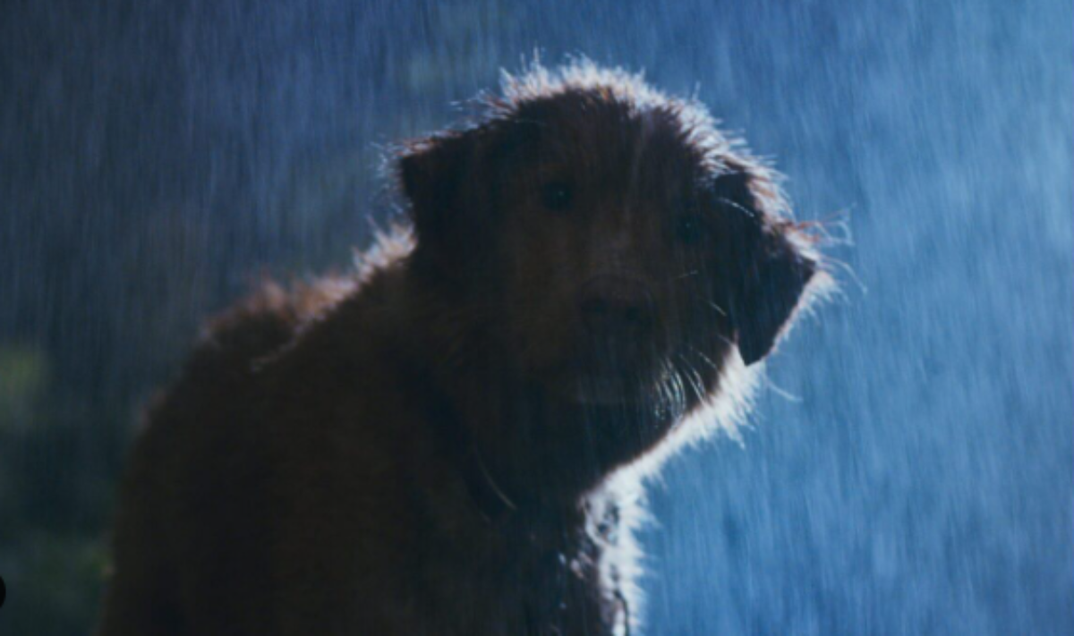  Stiže jezivi horor za koji već kažu da je film godine 