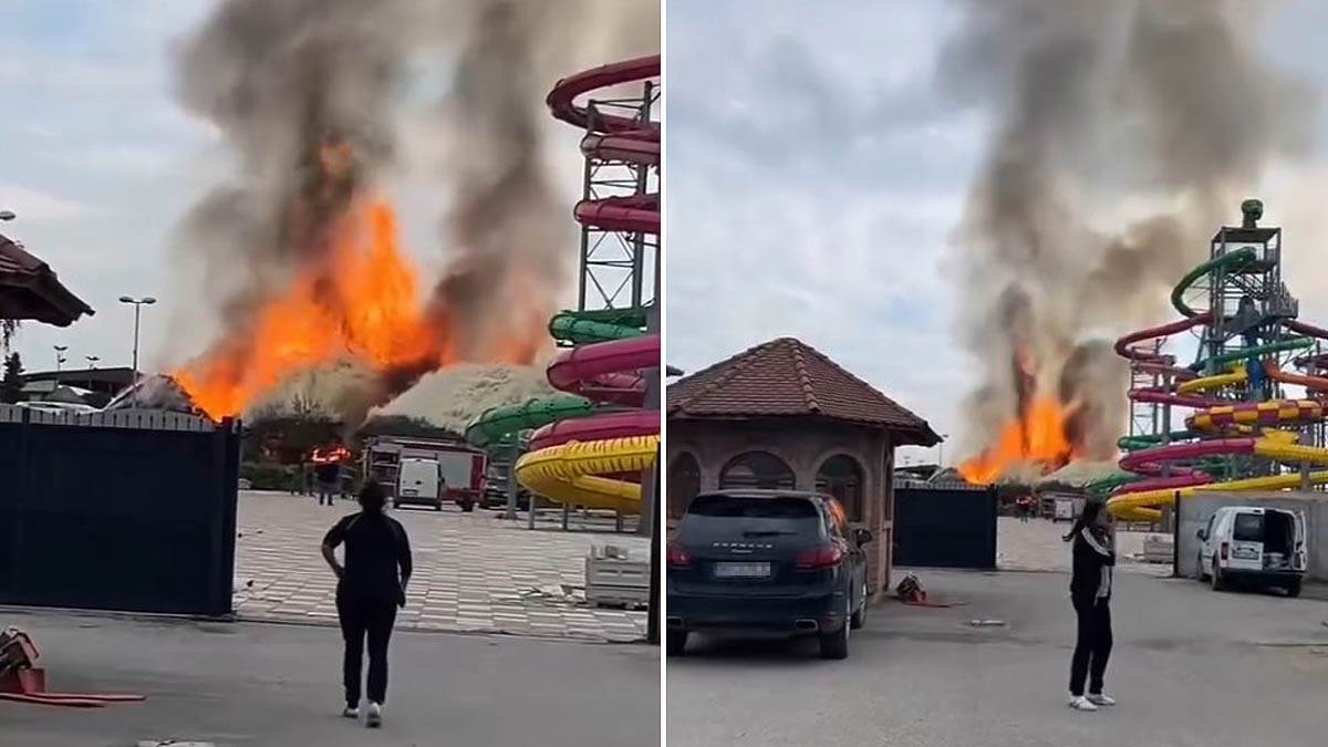  Gori poznati akva park u Beogradu 