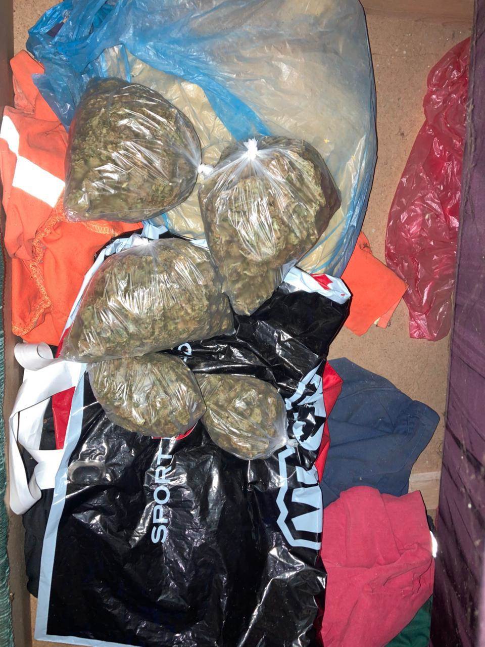  Pljevljak uhapšen, držao pola kg marihuane u stanu 