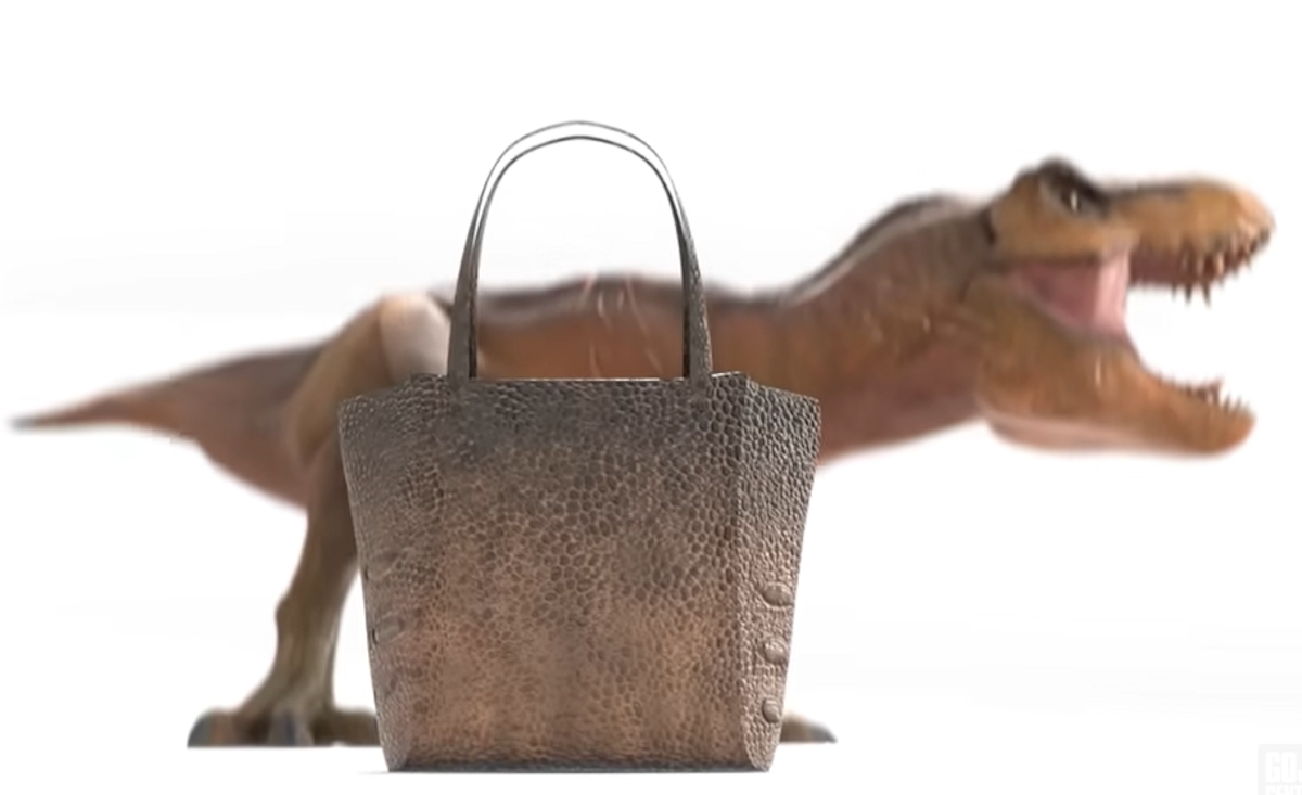  Zaboravite "birkinke", bizarni trend ostvara svijet 